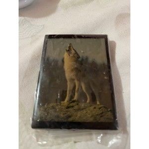 New Vintage Wolf Magnet In Packaging Made In USA By The Wilderness Society